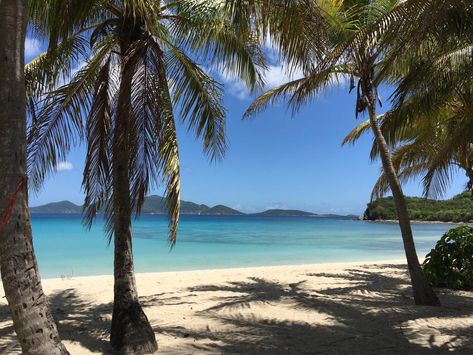 Smugglers Cove, Tortola British Virgin Islands, Summer Events, Virgin Islands, British Virgin Islands, May 31, Snorkeling, Summer Vibes, Trip Advisor