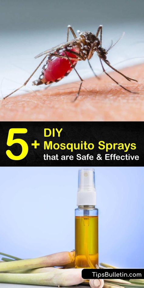 Discover how to create an effective homemade insect repellent bug spray to deter mosquitos. Combine ingredients like lemon eucalyptus oil, witch hazel, coconut oil, mouthwash, Epsom salts, and more, to make repellent that’s easy to apply with a spray bottle. #homemade #mosquito #deterrent #spray Mosquito Repellent Spray Diy, Mosquito Deterrent, Bug Deterrent, Mosquito Repellent Essential Oils, Insect Repellent Homemade, Mosquito Repellent Homemade, Mosquito Repellent Spray, Diy Mosquito Repellent, Diy Bug Spray