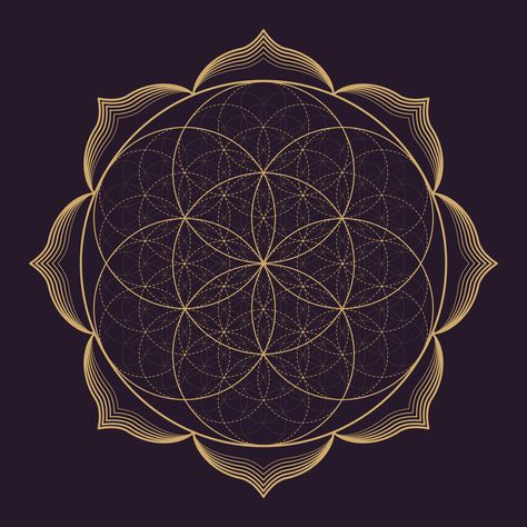 #seedoflife #floweroflife #sacredgeometry #lotusborder Mandala Sacred Geometry, Tattoos Infinity, The Flower Of Life, Sacred Geometry Symbols, Sacred Geometry Art, Mandalas Drawing, Seed Of Life, Monochrome Design, Geometry Art