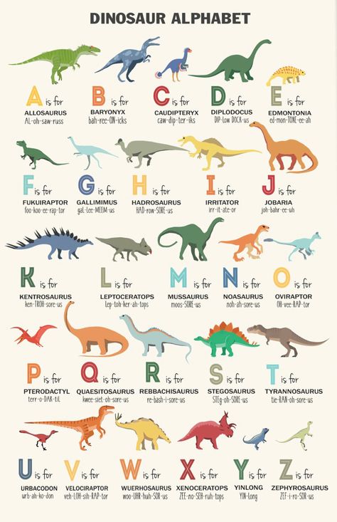 Different Dinosaurs Names, Dinosaur Names For Kids, Names Of Dinosaurs, Dino Alphabet, Dinosaurs Poster, Types Of Dinosaurs, Dinosaur Types, Dinosaur Poster, Dinosaur Room Decor