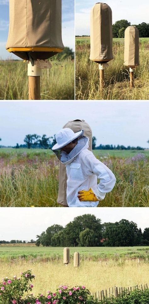 Natural Bee Keeping, Bee Box Design, Bee Apiary Design, Bee Hive Ideas, Brooding Box Diy, Beekeeping Aesthetic, Bee Keeping For Beginners, Natural Beehive, Diy Bee Hive