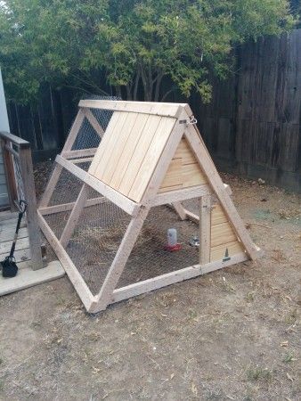 Frame Chicken Coop, Chicken House Plans, A Frame Chicken Coop, Easy Chicken Coop, Raising Chicken, Raising Chicks, Chicken Tractors, Chicken Coup, Chicken Feeders