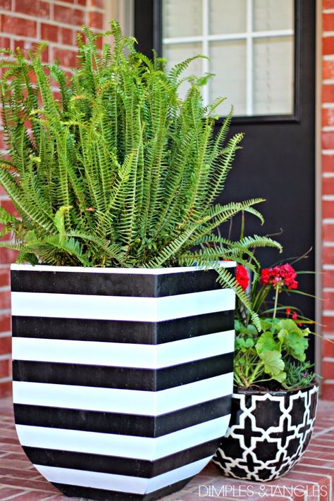 easy DIY black and white striped flower pots Black And White Planters, Front Porch Flowers, Tanaman Indoor, Porch Flowers, Porch Planters, Diy Outdoor Decor, White Planters, Landscape Designs, Homestead Survival