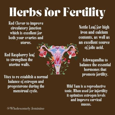 Herbs For Womb Healing, Herbs To Boost Fertility, Herbs For Wellness, Herbs For Lubrication, Vitex For Fertility, Herbs For Ovaries, Herbs For Feminine Health, Herbs To Help Get Pregnant, Herbs For Fertility Witchcraft