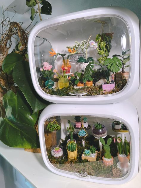 Miniature Aesthetic, Faux Terrarium, Lego Displays, Mini Verse, Fish Tank Themes, Pet Spider, Mini Brands, Jumping Spider, Craft Display