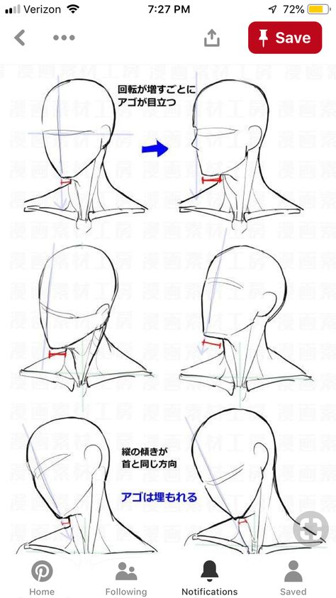 Manga Examples, Anime Head Shapes, Anime Face Shapes, Character Composition, Manga Materials, Neck Drawing, Anime Reference, Drawing Heads, Anime Head