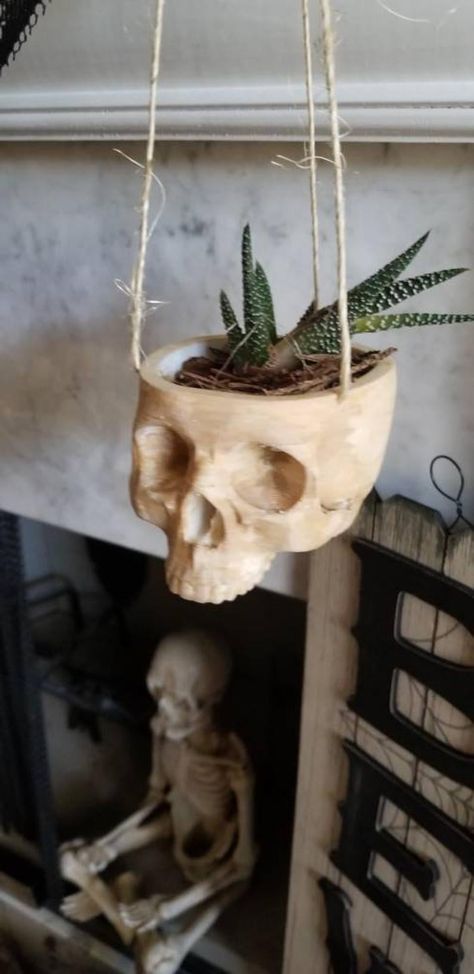 Hanging Skull Planter Skull Hanging, Skull Planter, Goth Home, Goth Home Decor, Head Planters, Skull Decor, Gothic Decor, Hanging Planter, Dream House Decor