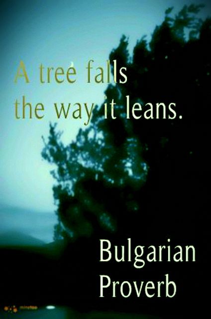 A tree falls the way it leans. Bulgarian proverb Famous Proverbs, Ancient Proverbs, Strong Motivational Quotes, Book Of Proverbs, Profound Quotes, Proverbs Quotes, World Quotes, Intelligence Quotes, Wise Words Quotes