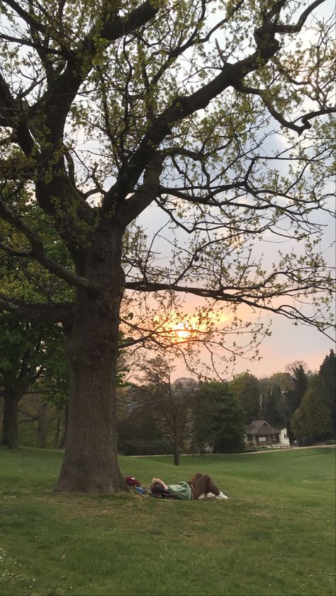 Big Trees Aesthetic, Lying In A Field Aesthetic, Sitting Under A Tree Aesthetic, Reading In The Grass Aesthetic, Lying In Grass Aesthetic, Reading Under A Tree Aesthetic, Under A Tree Aesthetic, Sitting Under A Tree Drawing, Laying In Grass Aesthetic