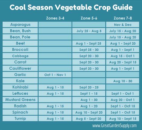 A handy guide for planting crops in the late summer depending on your Hardiness Zone: Zone 3-4 Fall Harvest Calendar, Zone 5-6 Fall Harvest Calendar, Zone 7-8 Fall Harvest Calendar #edibles #gardening Tartiflette Recipe, Vegetable Planting Guide, Fall Crops, Vegetable Planting, Winter Vegetables Gardening, Tattoo Plant, Planting Guide, Gardening Zones, Fall Vegetables