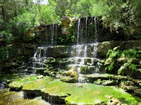 Waterfall - near the location of dinosaur tracks prehistoric garden in Zilker Botanical Garden in central Austin TX - SoloTripsAndTips.com Prehistoric Garden, Zilker Botanical Garden, Buchart Gardens, Austin Texas Travel, Dinosaur Tracks, Backyard Garden Layout, Small Backyard Gardens, Big Garden, Central Texas