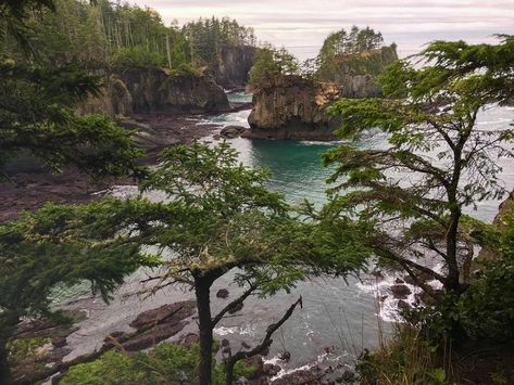 13 Outdoorsy Things to Do on the Washington Coast Hoa Rainforest Washington, Washington State Coast, Cape Flattery, Hoh Rainforest, Rialto Beach, Washington Coast, Coast Line, Temperate Rainforest, Ocean Shores