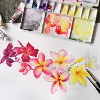 Eunike Nugroho (@inikeke) • Instagram photos and videos Flowers Drawing Watercolor, Watercolor Art Inspiration, Frangipani Tattoo, Pink Drawing, Flowers Drawing, Watercolor Water, Drawing Flowers, Drawing Watercolor, Trendy Flowers