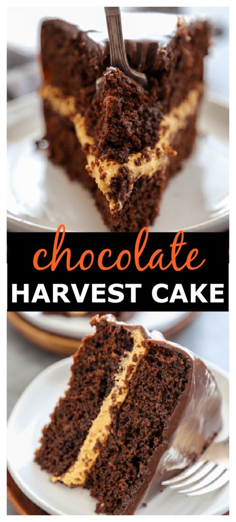 Harvest Cake, Thanksgiving Chocolates, Chocolate Pumpkin Cake, Mouthwatering Desserts, Friends Recipes, Pumpkin Cream Cheese, Fall Faves, Pumpkin Cream Cheeses, Fall Foods