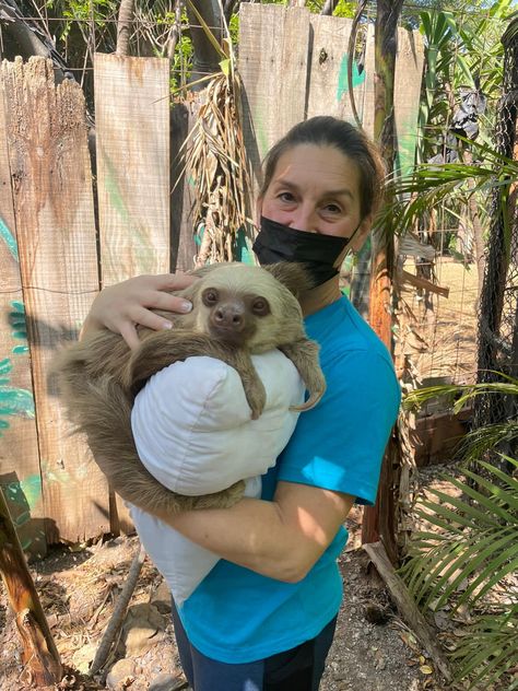 Sloth Costa Rica, Costa Rica Animal Sanctuary, Costa Rica Volunteer, Volunteering With Animals, Costa Rica Animals, Win Lottery, Volunteering Abroad, Volunteer Travel, A Sloth