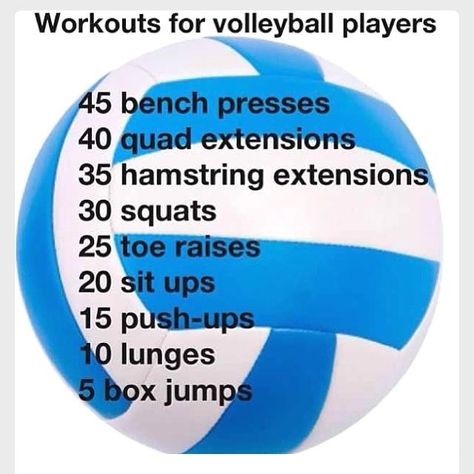 Vball Quotes, Volleyball Workout, Volly Ball, Volleyball Jokes, Volleyball Conditioning, Sports Tips, Volleyball Humor, Volleyball Tips, Volleyball Workouts