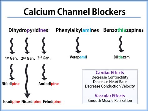 Alpha And Beta Receptors, Beta Receptors, Calcium Channel Blockers, Nursing Information, Bells Palsy, Nursing Board, Basic Anatomy And Physiology, Pa School, Pharmacology Nursing