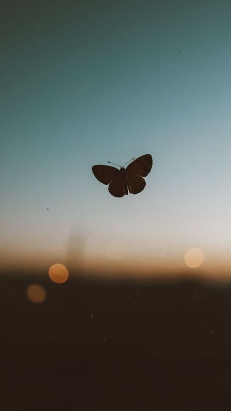 Poetry Background Pictures, Poetry Background, Whatsapp Wallpapers Hd, Butterfly Photography, Iphone Wallpaper Landscape, Simple Phone Wallpapers, Dark Phone Wallpapers, Pretty Landscapes, Dark Wallpaper Iphone