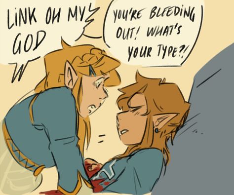 its not a V its a heart Botw Zelink, Botw Zelda, Legend Of Zelda Memes, Zelda Funny, Meme Comics, Legend Of Zelda Breath, Zelda Art, Twilight Princess, March 19