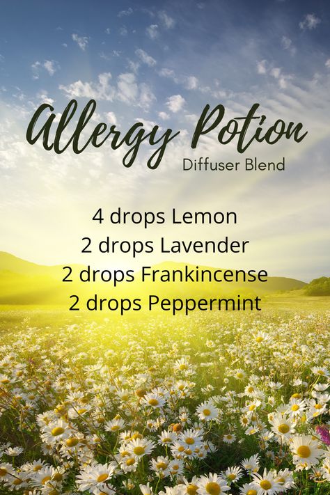 Homemade Alternatives, Seasonal Allergy Relief, Essential Oils Allergies, Diffuser Scents, Diffuser Oils, Essential Oil Combinations, Doterra Essential Oils Recipes, Essential Oil Diffuser Blends Recipes, Essential Oil Remedy