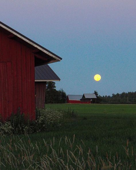 Finnish Aesthetic, Finnish Cottage, Finnish Lifestyle, Moon Pictures, Midnight Sun, Stardew Valley, Sky Aesthetic, Starry Sky, Summer House