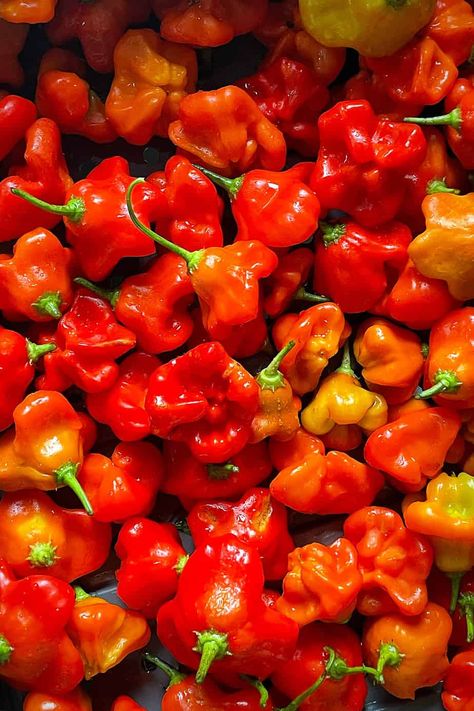 Mad Hatter Pepper Recipes, Homemade Hot Sauce, Pepper Recipes, Mad Hat, Relish Recipes, Stuffed Mini Peppers, How To Roast, Habanero Peppers, Hot Peppers