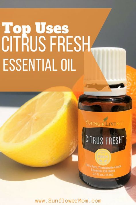 Citrus Fresh Essential Oil, Oils Benefits, Helichrysum Essential Oil, Single Parents, Essential Oils Cleaning, Cedarwood Oil, Citrus Essential Oil, Citrus Oil, Oil Uses