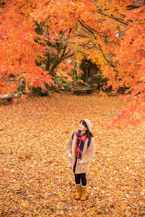 Autumn. Tokyo. Tokyo Autumn, Autumn Photography Portrait, Japan Travel Photography, Japan Autumn, Page Instagram, Japan Trip, Inspo Pics, Japan Tokyo, Autumn Outfits