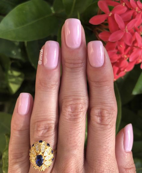 Essie - Gel Couture - Inside Scoop - tea rose sheer pink manicure - light pink nails Inside Scoop Essie Gel, Essie Gel Couture Inside Scoop, Essie Inside Scoop Gel, Essie Inside Scoop, Pink Essie, Sheer Nails, Essie Gel Couture, Light Pink Nails, Pink Manicure