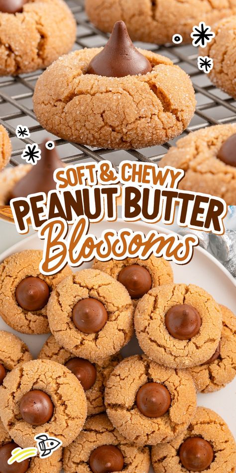 Soft with a satisfying crunch and a chocolate kiss, our peanut butter blossoms are a classic and beloved cookie. Soft Peanut Butter Blossoms, Peanuts Butter Blossoms, Peanutbutter Hershey Kisses Cookies, Peanut Butter Cookie Kisses, Peanut Butter And Hershey Kiss Cookies, Best Peanut Butter Blossoms Recipe, Pb Blossoms Recipe, Best Peanut Blossom Cookies, Recipe For Peanut Butter Blossom Cookies