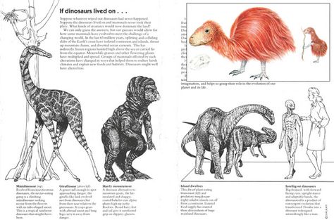 Speculative Zoology, Speculative Biology, Drop Bear, Dinosaur Projects, Speculative Evolution, New Scientist, Creature Concept Art, Zoology, Creature Concept