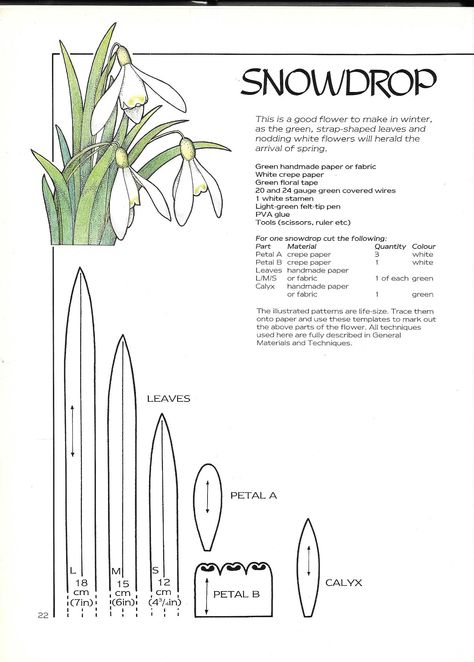 Snowdrop 2 Diy Snowdrop Flower, Crepe Paper Snowdrop, Snowdrop Craft, Paper Snowdrops, Snowdrop Flower, Paper Flower Patterns, Wafer Paper Flowers, Paper Plants, Paper Flower Template