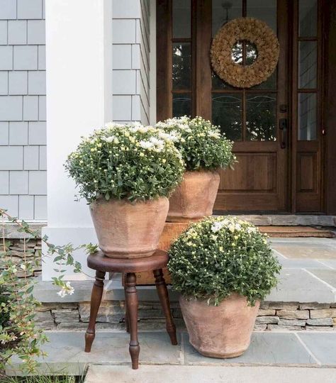 Front Porch Stone, Porch Plants, Porch Flowers, Porch Planters, Small Front Porches, Front Patio, Backyard Porch, Fall Front Porch, Front Porch Decorating