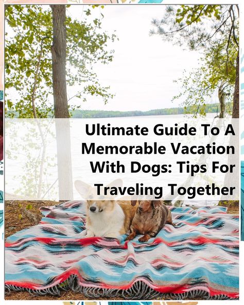 Discover the ultimate guide to a memorable vacation with dogs! This comprehensive resource offers essential tips for traveling with your furry friends, ensuring a stress-free and enjoyable experience for everyone. From choosing dog-friendly accommodations to packing essentials, we cover everything you need to create unforgettable memories on your adventures. Make your next vacation with dogs a fun and rewarding journey for both you and your pets! Vacation With Dog Ideas, Pet Friendly Vacation Ideas, Traveling With Your Dog, Pet Friendly Vacation Destinations, Best Dog Friendly Vacations, Dogs Tips, Traveling Together, Dog Friendly Vacation, Vacation Hat