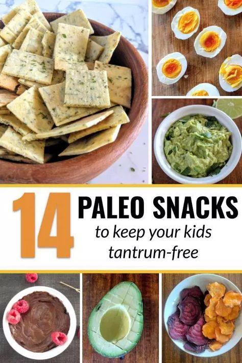 Easy Paleo Snacks On The Go, Paleo Diet For Kids, Paleo Beach Snacks, Paleo Kids Snacks, Paleo Store Bought Snacks, Paleo Snacks For Kids, Paleo Protein Snacks, Paleo Snack Ideas, Healthy Paleo Snacks