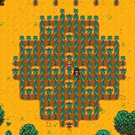 Stardew Scarecrow Layout, Stardew Valley Scarecrow Layout, Stardew Layout, Stardew Farms, Stardew Valley Layout, Stardew Valley Tips, Stardew Valley Farms, Valley Game, Valley Girls