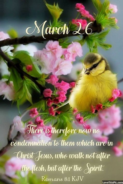 March 26 Quotes, March 26 Blessings, Spring Good Morning, March Blessings, Jewish Holiday Calendar, December Scriptures, Words Of Faith, Psalms Quotes, March Quotes