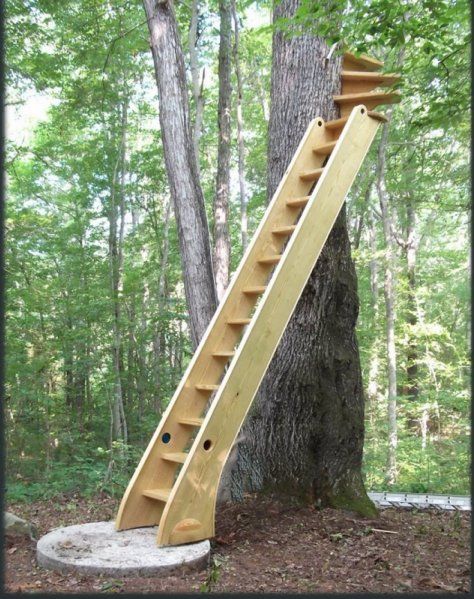 Treehouse Stairs, Backyard Slide, Adult Tree House, Steep Stairs, House Ladder, Rustic Stairs, Tree Structure, Building A Treehouse, Tree House Diy