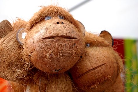 coconut monkeys | Recent Photos The Commons Getty Collection Galleries World Map App ... Coconut Crafts, Wood Wine Rack Diy, Homemade Easter Baskets, Coconut Head, Coconut Shell Crafts, Coconut Shells, Shells Diy, Coconut Palm Tree, Gourds Crafts