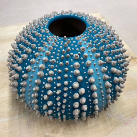 Sea Urchin Pottery, Clay Sea Urchin, Sea Illustration Art, Sea Ceramics, Seashells Photography, Pottery Making Illustrated, Beginner Pottery, Advanced Ceramics, Pottery Handbuilding