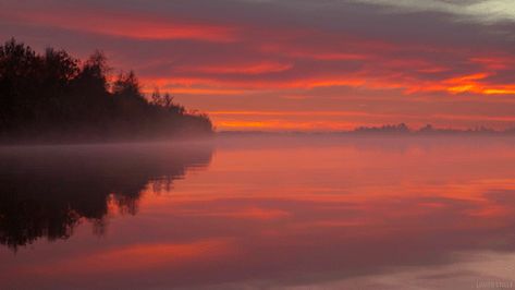 cinemagraph gif water nature photography cinemagraph smoke sunset lake cinemagraphs fog dawn mist living stills Sunset Gif, Cinemagraph Gif, Church Songs, Relaxing Gif, Live Wallpaper Iphone, Ambient Music, Lake Sunset, Water Photography, Film History