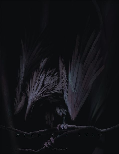 Crow Perched by jameszapata.deviantart.com on @DeviantArt Crow Monster Art, Crow Dragon, Crow Monster, Crow God, Crow Demon, Crow Perched, Crow Art, Raven Art, Alien Concept Art