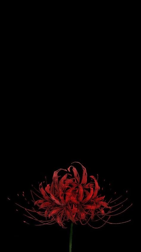 Japanese Wallpaper Iphone, Lily Wallpaper, Red Spider Lily, Gundam Wallpapers, Dark Flowers, Dark Phone Wallpapers, Japanese Flowers, Graphic Wallpaper, Cool Wallpapers Art