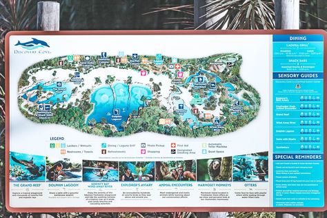 Discovery Cove Orlando, Vacay Spots, 2025 Graduation, Disney 2024, Photo Packages, Disney World Trip, Wishful Thinking, Florida Vacation, Vacation Places