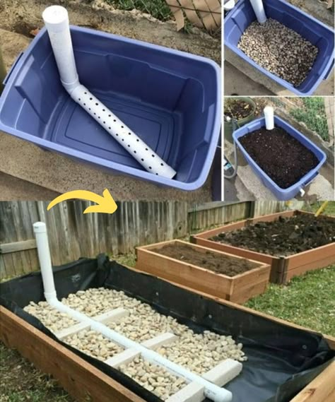 Wicking Garden Bed, Gemüseanbau In Kübeln, Self Watering Containers, Hydroponics Diy, Vegetable Garden Raised Beds, Container Vegetables, Garden Vegetable, Gardening Hacks, Veg Garden