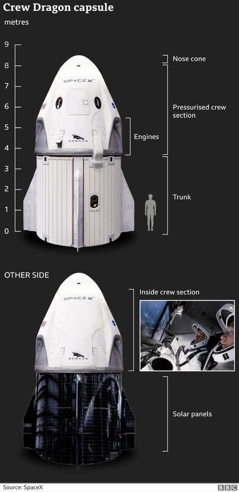 SpaceX Nasa Mission: Astronauts on historic mission enter space station - BBC News Spacex Dragon, Nasa Engineer, Nasa Spacex, Spacex Launch, Nasa Images, Nasa Missions, Nasa Astronauts, Spaceship Design, Space Nasa