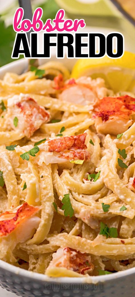 This delightfully easy Lobster Alfredo takes all of 30 minutes to make and will have everyone at the dinner table feeling extra fancy! #RealHousemoms #lobster #fettuccine #alfredo #pasta #seafood #parmesan #easydinner #30minsorless #italianfood #valentinesday #newyearseve Lobster Alfredo Recipe, Lobster Alfredo, Fettuccine Alfredo Pasta, Lobster Pasta Recipe, Chicken And Shrimp Carbonara, Shrimp Carbonara, Seafood Alfredo, Shrimp Fettuccine Alfredo, Pasta Seafood