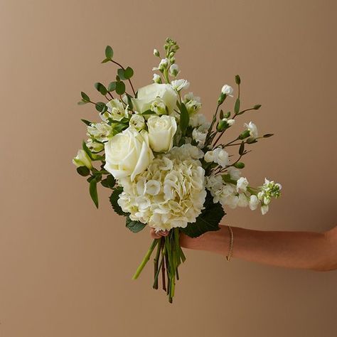 White Hydrangea + White Roses, Mini-carnations & Alstroe - The Bouqs Co. Green Hydrangea Wedding, White Hydrangea Wedding, Carnation Wedding, Hydrangea Bridal Bouquet, Hydrangea Bouquet Wedding, Hydrangea White, Simple Wedding Bouquets, Bridesmaid Bouquet White, Green Wedding Flowers