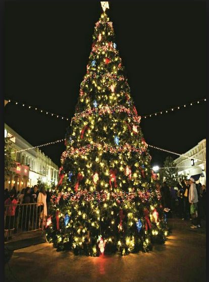 Christmas Day In San Jose Costa Rica Christmas Tree Outside, San Jose Costa Rica, Dream Holiday, Wellness Gifts, 12 Days Of Christmas, Christmas Day, Christmas Special, Jingle Bells, Central America