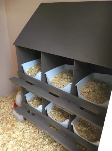 Chicken nesting boxes, everything you need to know. - Cluckin Nest Boxes For Chickens, Nesting Box Ideas, Chicken Run Plans, Chicken Boxes, Cute Chicken Coops, Chicken Shed, Chicken Pen, Chicken Nesting Boxes, Backyard Chicken Coop Plans